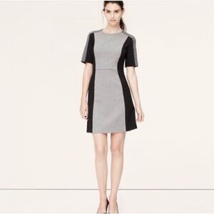 LOFT Gray and Black Mini Dress
